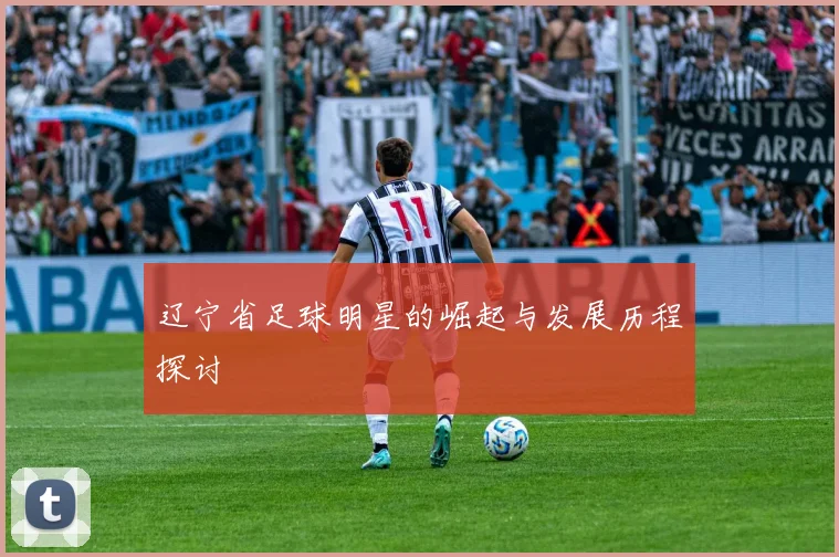辽宁省足球明星的崛起与发展历程探讨