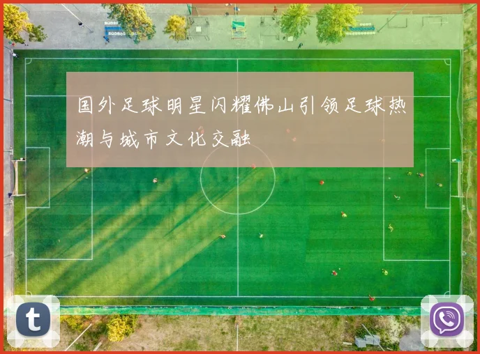 国外足球明星闪耀佛山引领足球热潮与城市文化交融