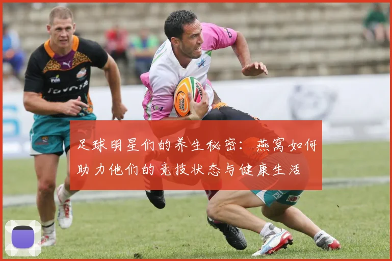 足球明星们的养生秘密：燕窝如何助力他们的竞技状态与健康生活