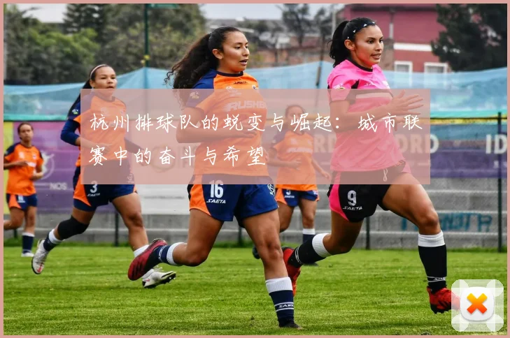 杭州排球队的蜕变与崛起：城市联赛中的奋斗与希望