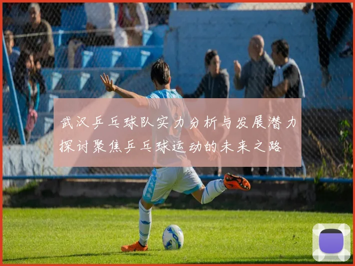 武汉乒乓球队实力分析与发展潜力探讨聚焦乒乓球运动的未来之路