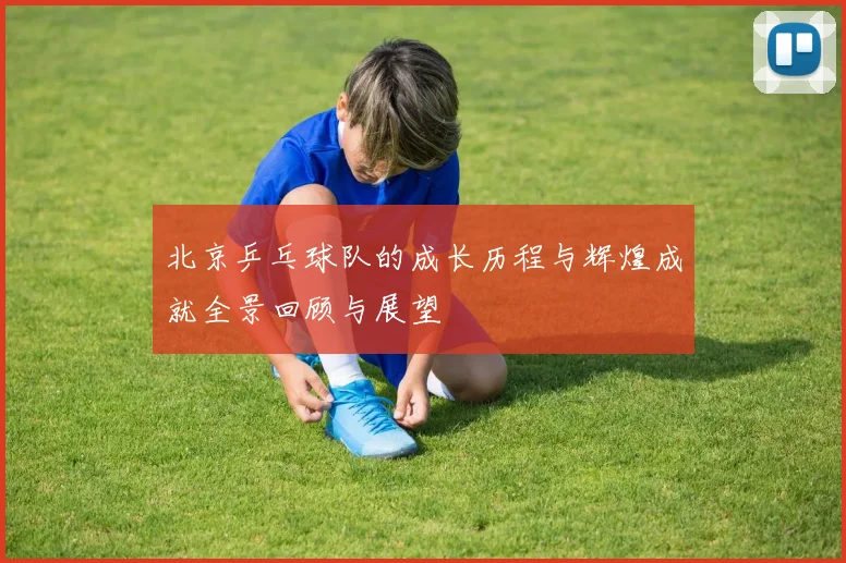 北京乒乓球队的成长历程与辉煌成就全景回顾与展望