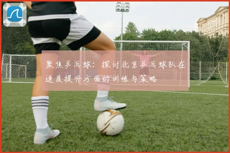 聚焦乒乓球：探讨北京乒乓球队在速度提升方面的训练与策略