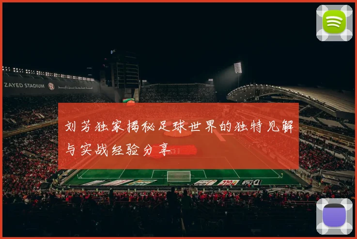 刘芳独家揭秘足球世界的独特见解与实战经验分享
