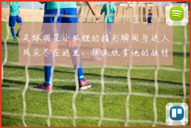 足球明星小狐狸的精彩瞬间与迷人风采尽在这里，快来欣赏他的独特魅力与精彩表现