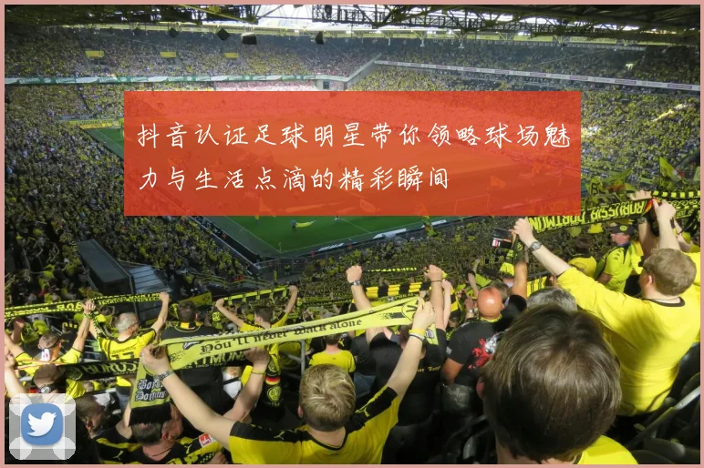 抖音认证足球明星带你领略球场魅力与生活点滴的精彩瞬间