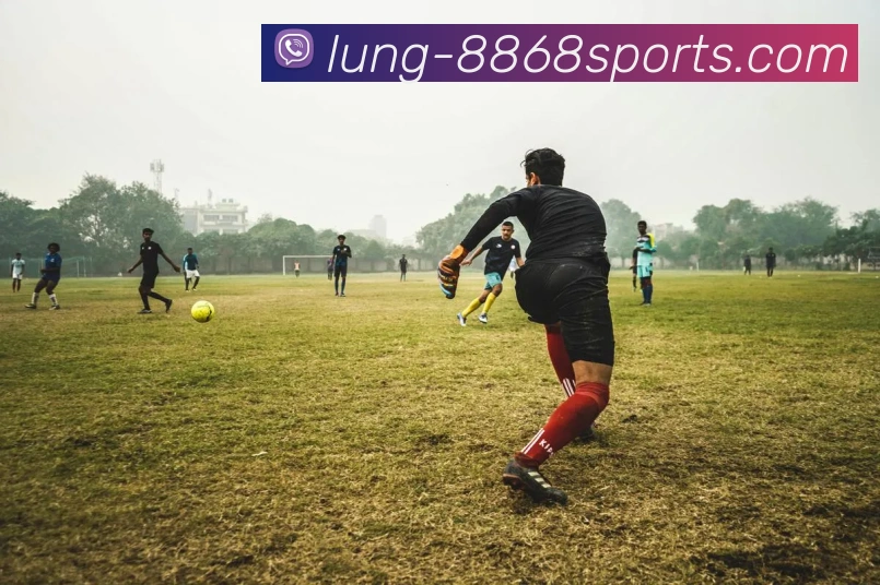 8868体育发展历程