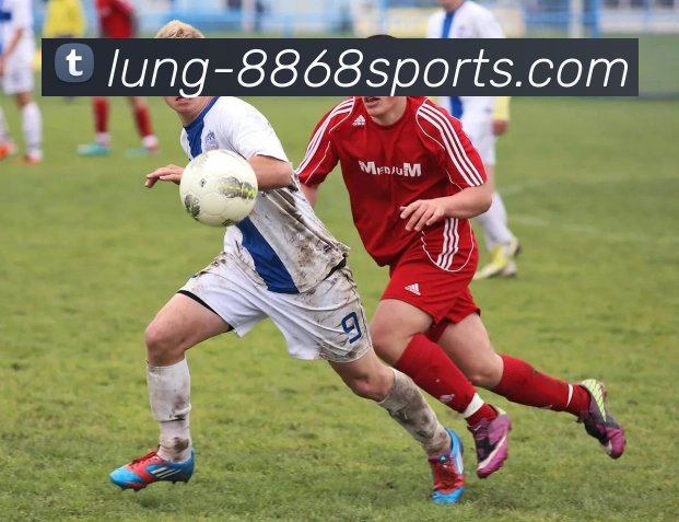 成都网球队运营革新探索：提升竞技水平与市场影响力的新路径